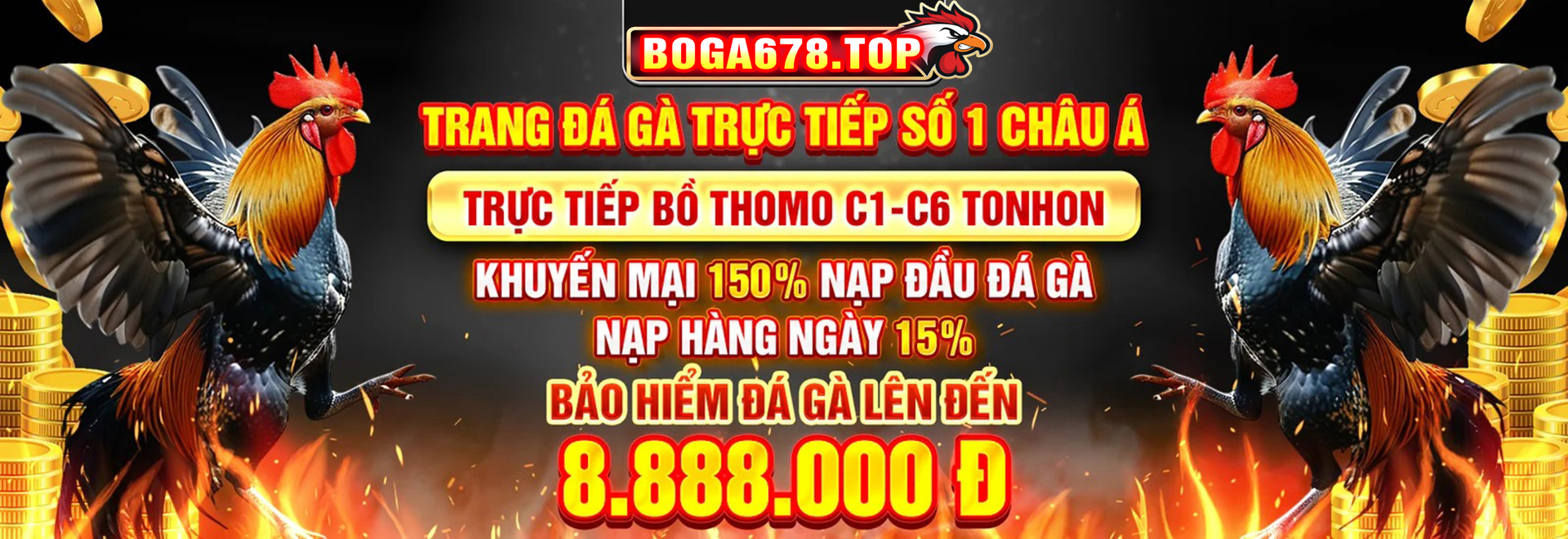 banner-boga678-top